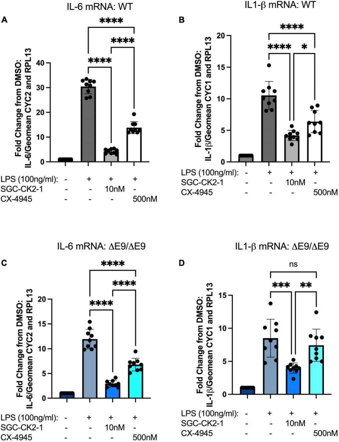 https://cdn.ncbi.nlm.nih.gov/pmc/blobs/4658/9239073/c2c4f2b6a9a1/fnmol-15-824956-g005.jpg