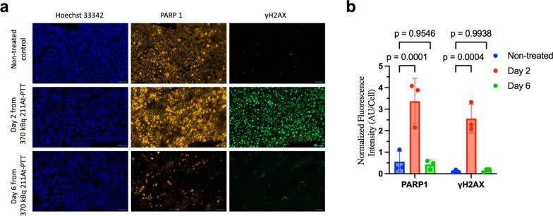 https://cdn.ncbi.nlm.nih.gov/pmc/blobs/4659/12127250/797902b66169/13550_2025_1256_Fig3_HTML.jpg
