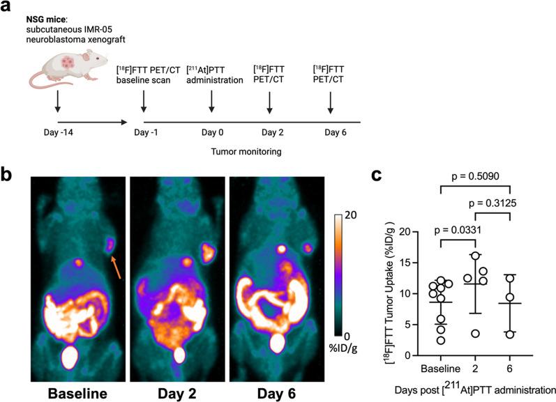 https://cdn.ncbi.nlm.nih.gov/pmc/blobs/4659/12127250/a31e9b298a85/13550_2025_1256_Fig1_HTML.jpg