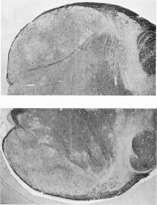 https://cdn.ncbi.nlm.nih.gov/pmc/blobs/465b/1252808/1f0bc4115270/janat00514-0151-a.jpg