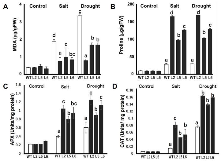 https://cdn.ncbi.nlm.nih.gov/pmc/blobs/465b/7763651/41ddbe2669d3/plants-09-01749-g007.jpg