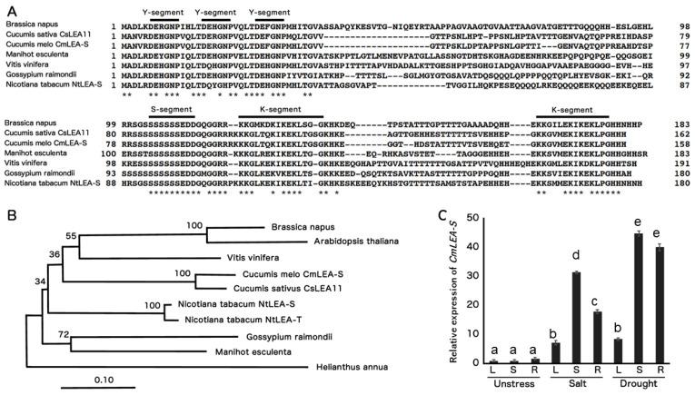 https://cdn.ncbi.nlm.nih.gov/pmc/blobs/465b/7763651/8b63ce59c411/plants-09-01749-g001.jpg