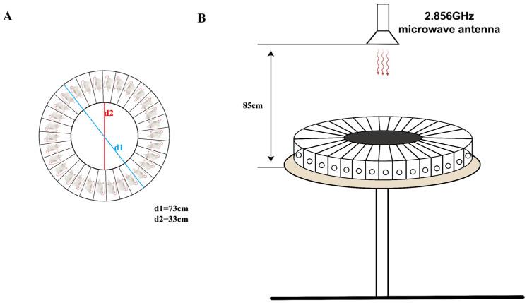 https://cdn.ncbi.nlm.nih.gov/pmc/blobs/465f/11118611/1f08eaac3541/brainsci-14-00441-g001.jpg