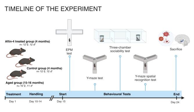 https://cdn.ncbi.nlm.nih.gov/pmc/blobs/465f/11569203/780cc3dec8a1/41598_2024_79792_Fig7_HTML.jpg