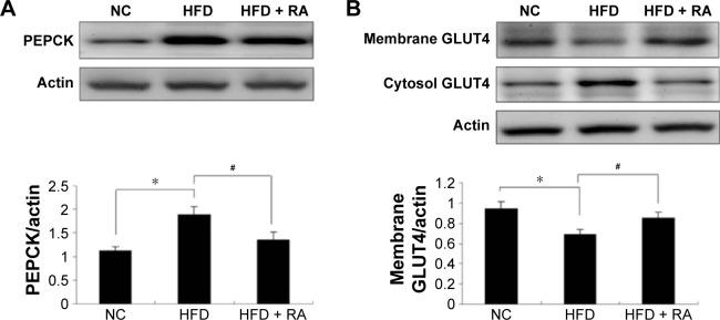 https://cdn.ncbi.nlm.nih.gov/pmc/blobs/4661/4940010/8dfd4f664bea/dddt-10-2193Fig6.jpg