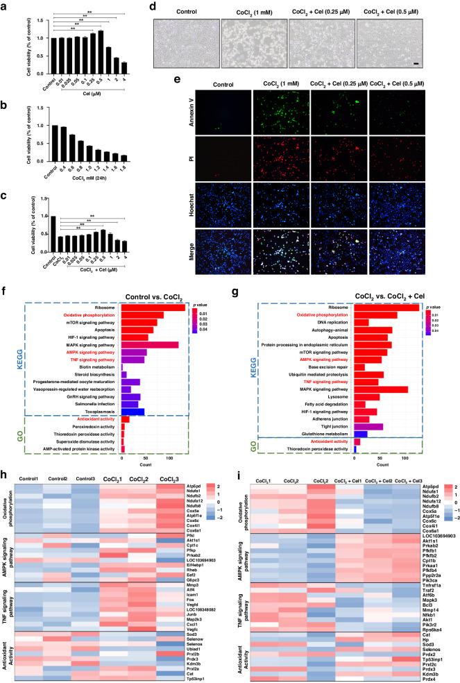 https://cdn.ncbi.nlm.nih.gov/pmc/blobs/4663/11772252/9c326b9f2822/41390_2024_3246_Fig3_HTML.jpg