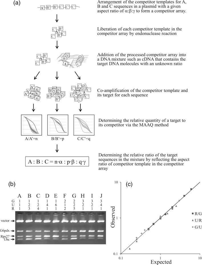 https://cdn.ncbi.nlm.nih.gov/pmc/blobs/4664/3372371/5f4ebf4304ad/dss00201.jpg