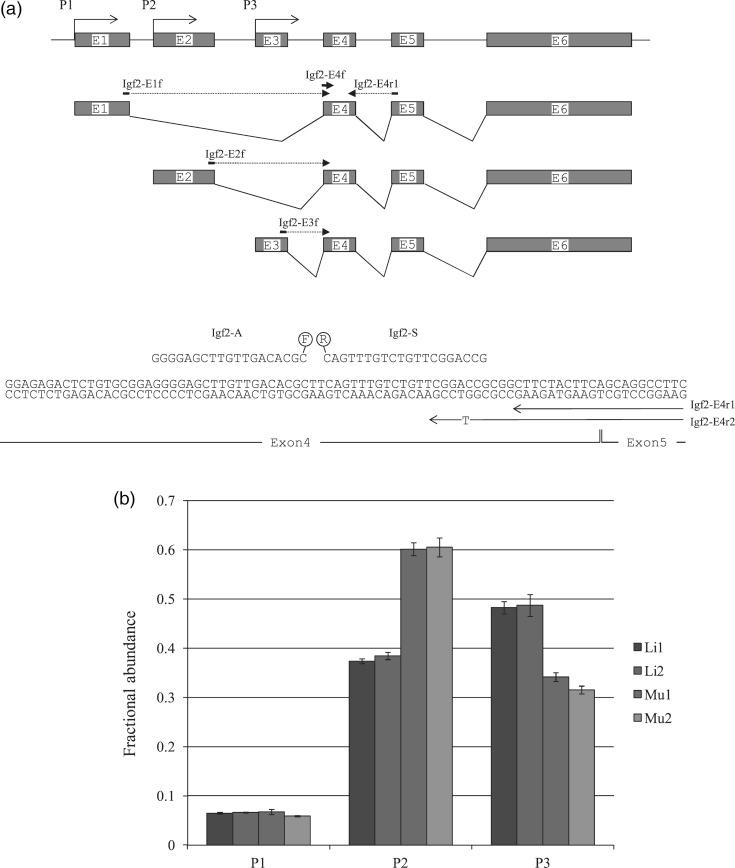 https://cdn.ncbi.nlm.nih.gov/pmc/blobs/4664/3372371/8b6e21145c46/dss00203.jpg