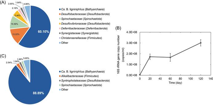 https://cdn.ncbi.nlm.nih.gov/pmc/blobs/4665/10989822/faf505be4231/MLF2-2-272-g002.jpg