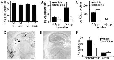 https://cdn.ncbi.nlm.nih.gov/pmc/blobs/4665/3180227/6901ae74fb42/DMM006841F6.jpg