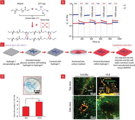 https://cdn.ncbi.nlm.nih.gov/pmc/blobs/4666/6702654/12d5a302a464/ADVS-6-1801664-g018.jpg