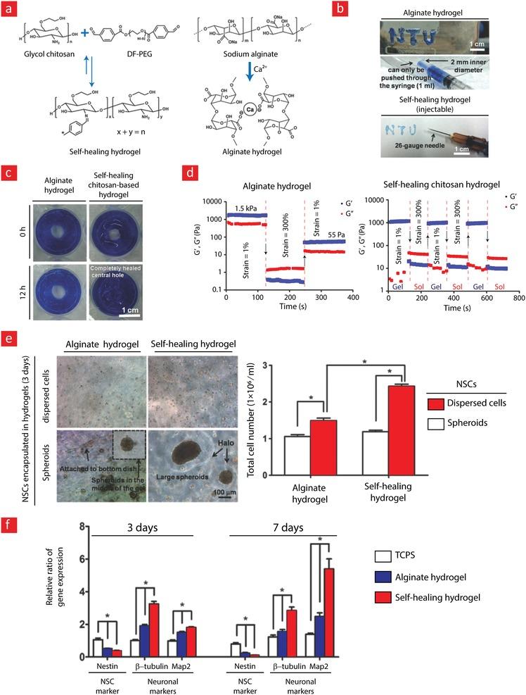 https://cdn.ncbi.nlm.nih.gov/pmc/blobs/4666/6702654/661ec70c7474/ADVS-6-1801664-g017.jpg