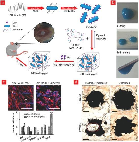 https://cdn.ncbi.nlm.nih.gov/pmc/blobs/4666/6702654/bd6f89e196a1/ADVS-6-1801664-g014.jpg