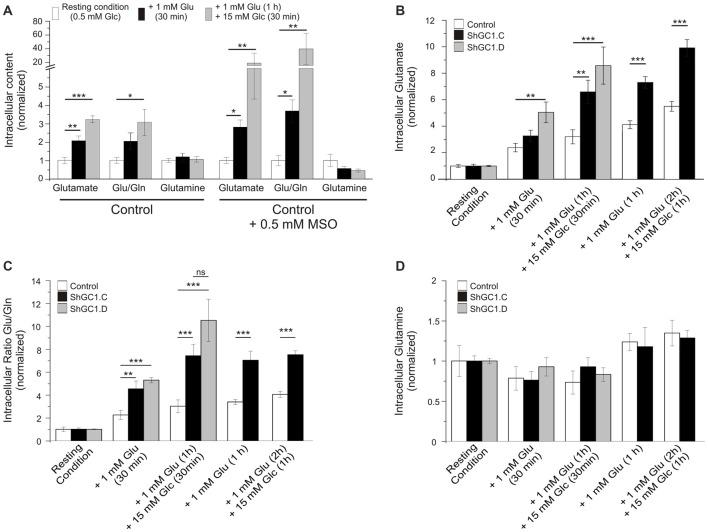 https://cdn.ncbi.nlm.nih.gov/pmc/blobs/4667/5449474/579e5807f6c9/fncel-11-00149-g0005.jpg