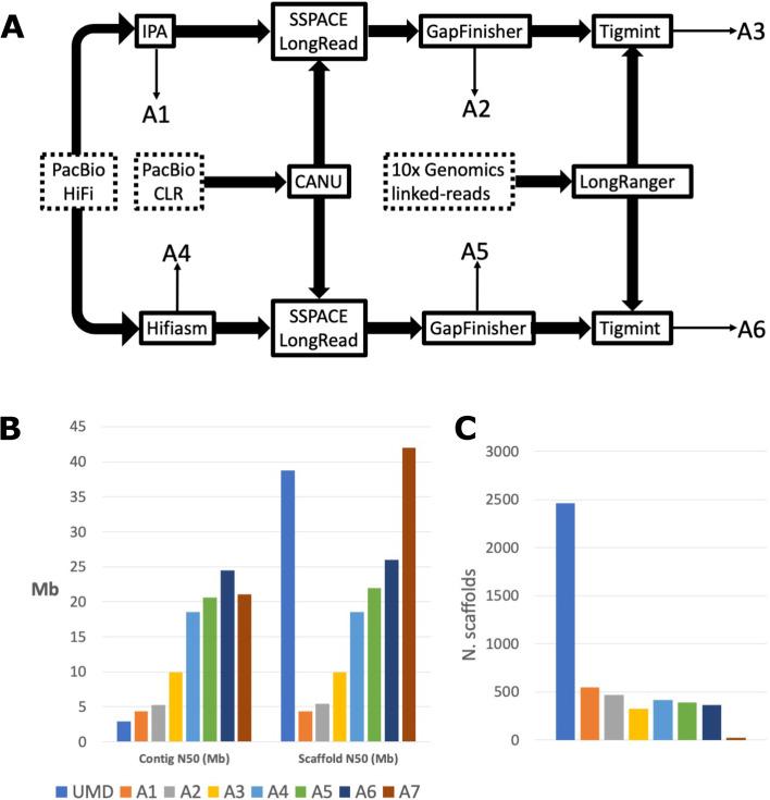 https://cdn.ncbi.nlm.nih.gov/pmc/blobs/4667/9756657/29e850116de3/12864_2022_9065_Fig1_HTML.jpg