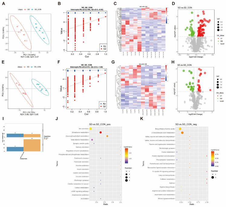 https://cdn.ncbi.nlm.nih.gov/pmc/blobs/4668/11673394/5f9d0f06616c/biomedicines-12-02654-g004.jpg