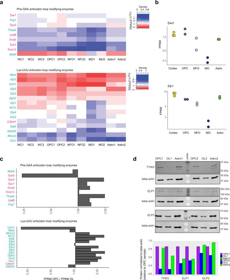 https://cdn.ncbi.nlm.nih.gov/pmc/blobs/4668/9411196/70fa97be296c/41467_2022_32766_Fig4_HTML.jpg
