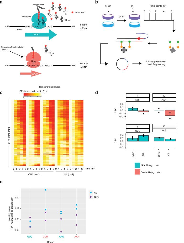 https://cdn.ncbi.nlm.nih.gov/pmc/blobs/4668/9411196/757e8fb9209a/41467_2022_32766_Fig5_HTML.jpg