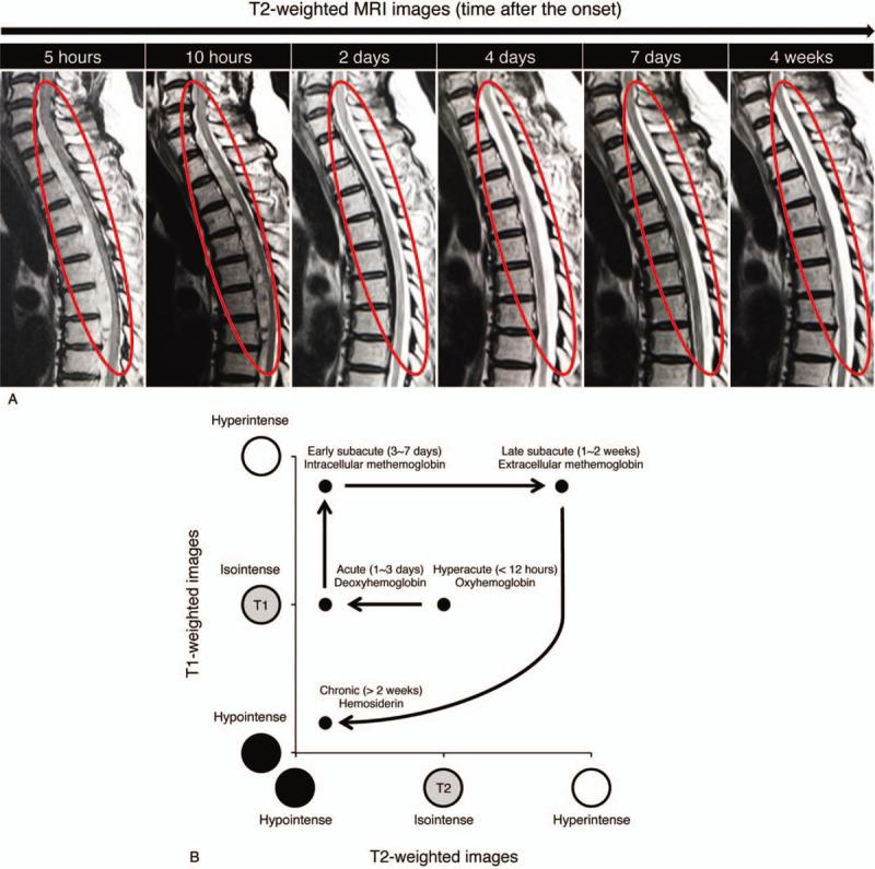 https://cdn.ncbi.nlm.nih.gov/pmc/blobs/466a/7220760/2a9dcccc977d/medi-99-e20032-g005.jpg
