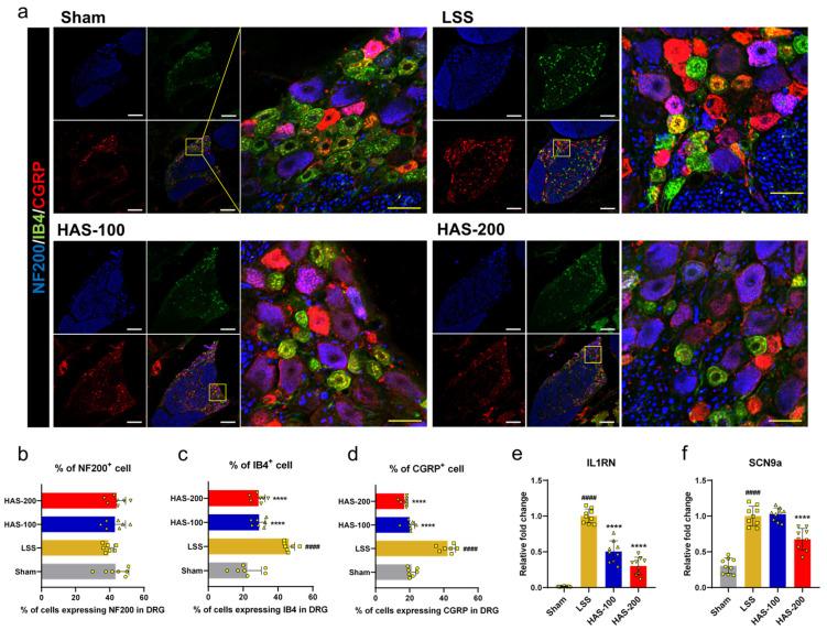 https://cdn.ncbi.nlm.nih.gov/pmc/blobs/466c/10526993/224a49c8c6c7/cells-12-02281-g004.jpg