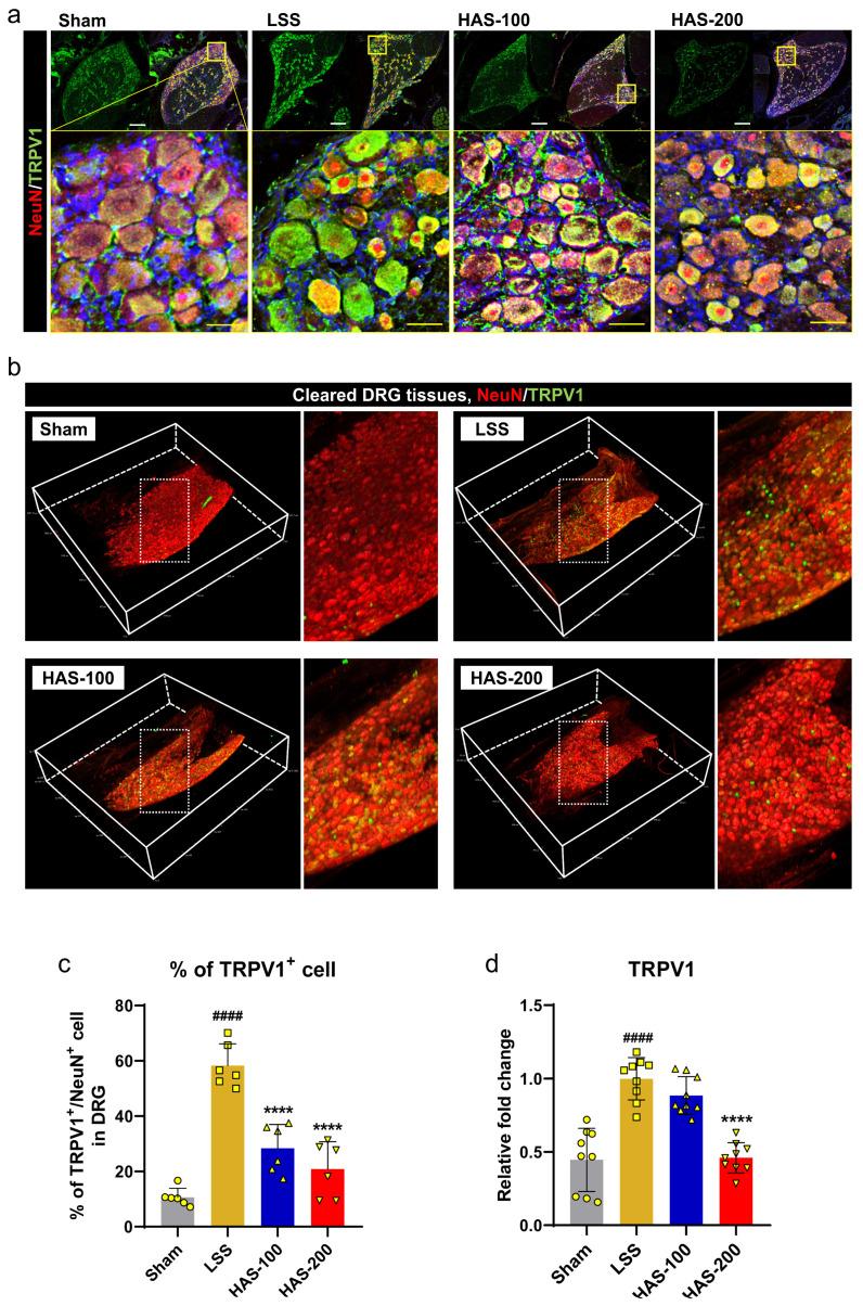 https://cdn.ncbi.nlm.nih.gov/pmc/blobs/466c/10526993/344e02163d93/cells-12-02281-g003.jpg
