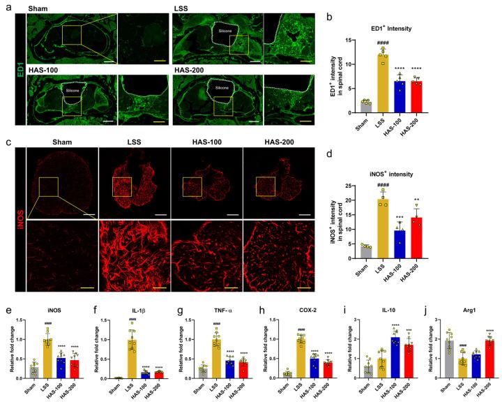 https://cdn.ncbi.nlm.nih.gov/pmc/blobs/466c/10526993/e2ff4f7f8faa/cells-12-02281-g002.jpg