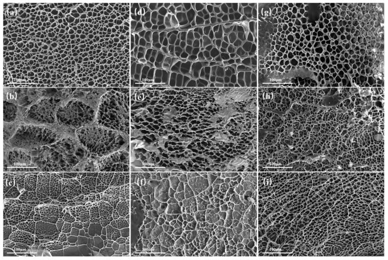 https://cdn.ncbi.nlm.nih.gov/pmc/blobs/466c/11764729/b435cccdb2d9/gels-11-00067-g003.jpg