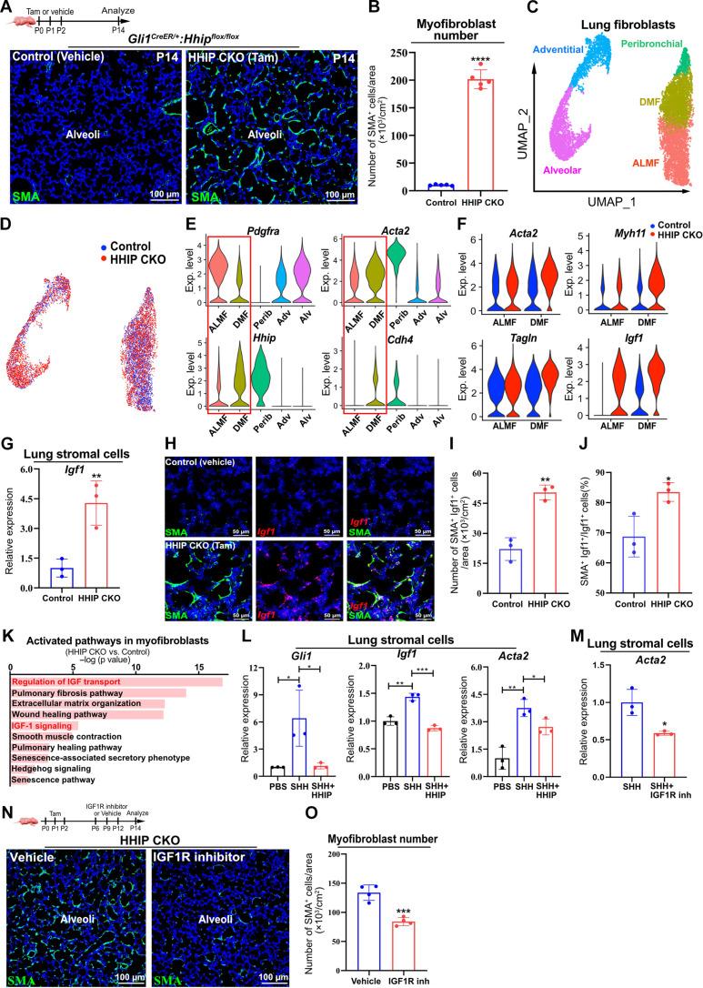 https://cdn.ncbi.nlm.nih.gov/pmc/blobs/466e/12057671/22a39f2e4bde/sciadv.adu2958-f2.jpg