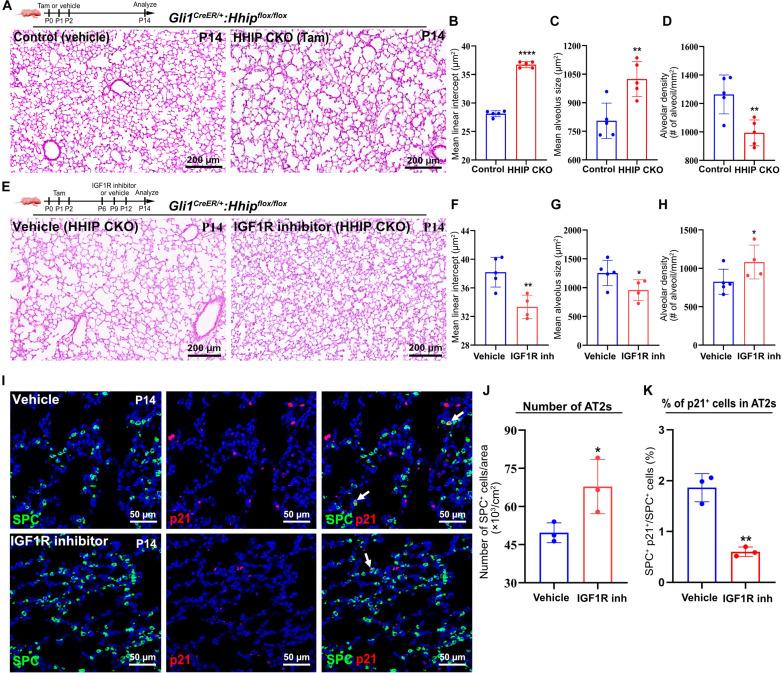 https://cdn.ncbi.nlm.nih.gov/pmc/blobs/466e/12057671/440abb830319/sciadv.adu2958-f4.jpg