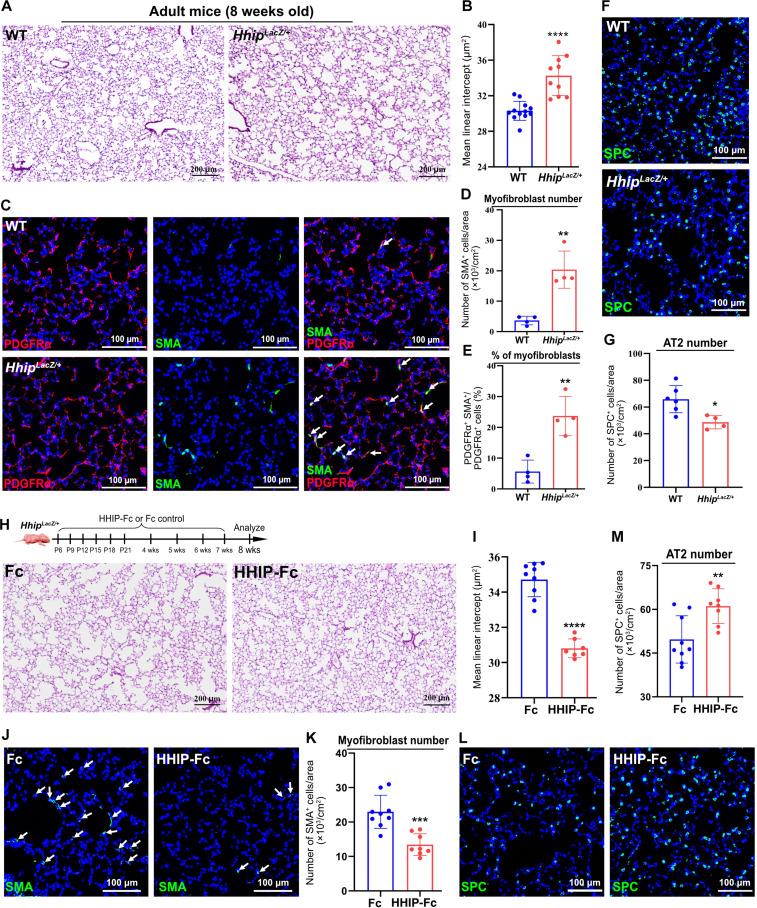 https://cdn.ncbi.nlm.nih.gov/pmc/blobs/466e/12057671/5d995c5a2311/sciadv.adu2958-f7.jpg