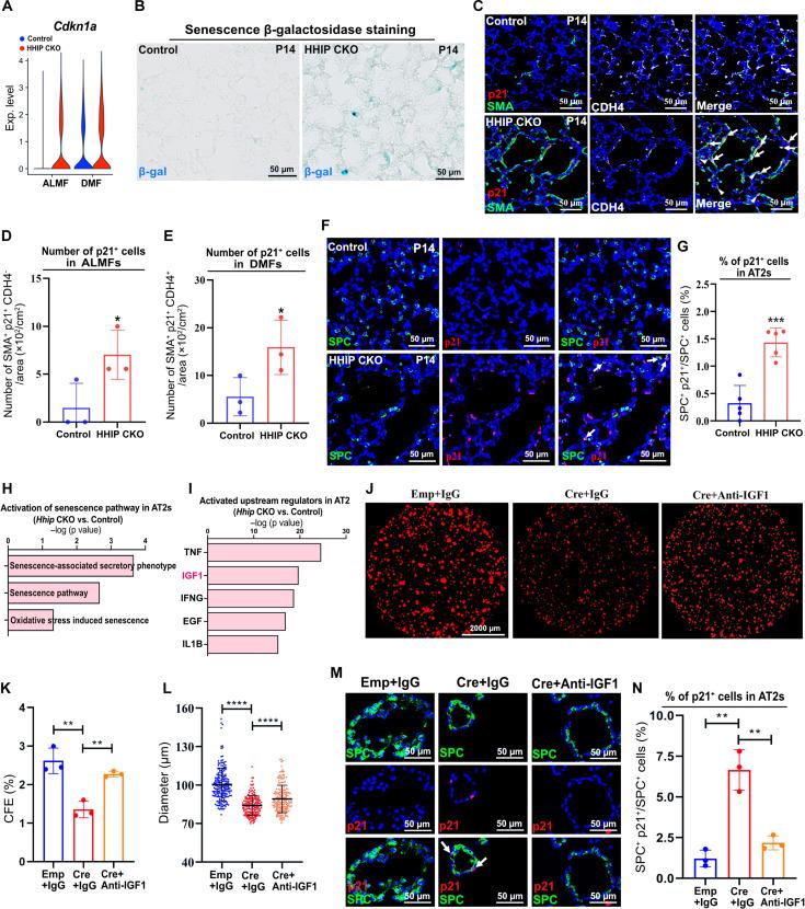 https://cdn.ncbi.nlm.nih.gov/pmc/blobs/466e/12057671/92559544d4f5/sciadv.adu2958-f3.jpg