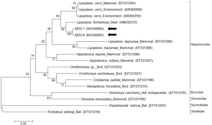 https://cdn.ncbi.nlm.nih.gov/pmc/blobs/466e/4887016/14f309d09396/pone.0156727.g002.jpg