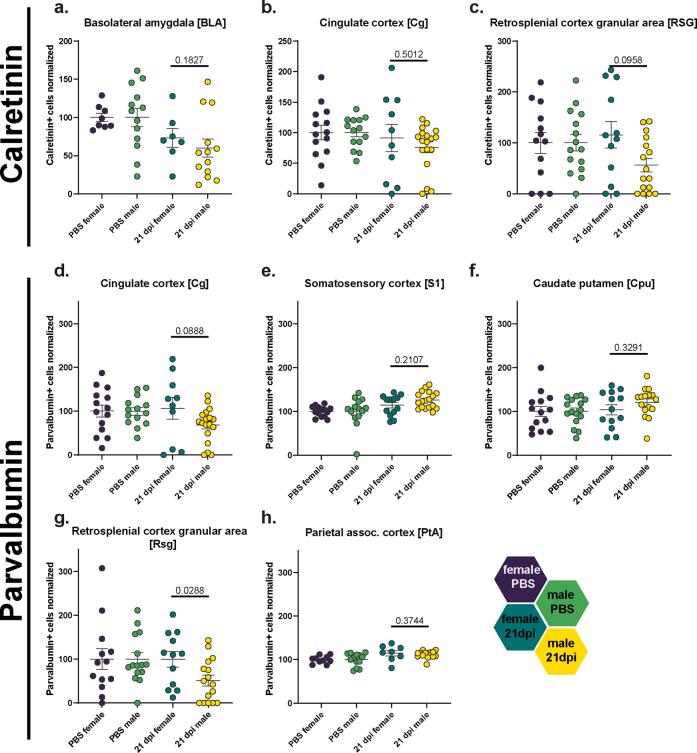 https://cdn.ncbi.nlm.nih.gov/pmc/blobs/4670/11293593/c2059b8e6a3d/figs8.jpg