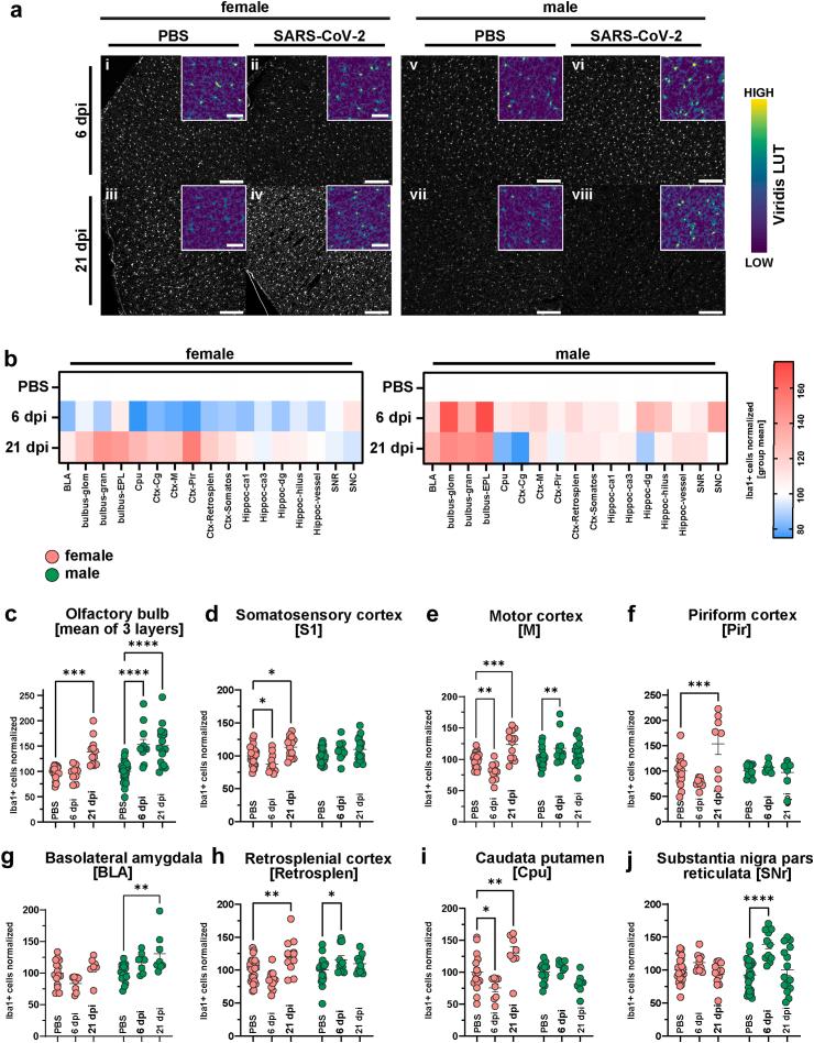 https://cdn.ncbi.nlm.nih.gov/pmc/blobs/4670/11293593/dfe2f0bebb95/gr2.jpg