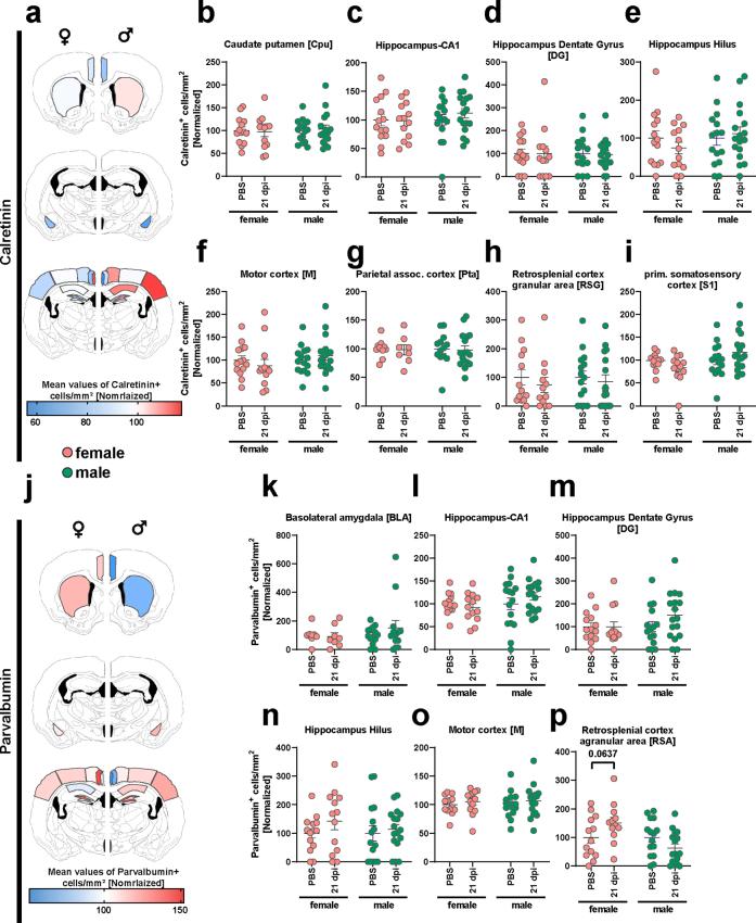 https://cdn.ncbi.nlm.nih.gov/pmc/blobs/4670/11293593/fc106f11d0cd/figs7.jpg