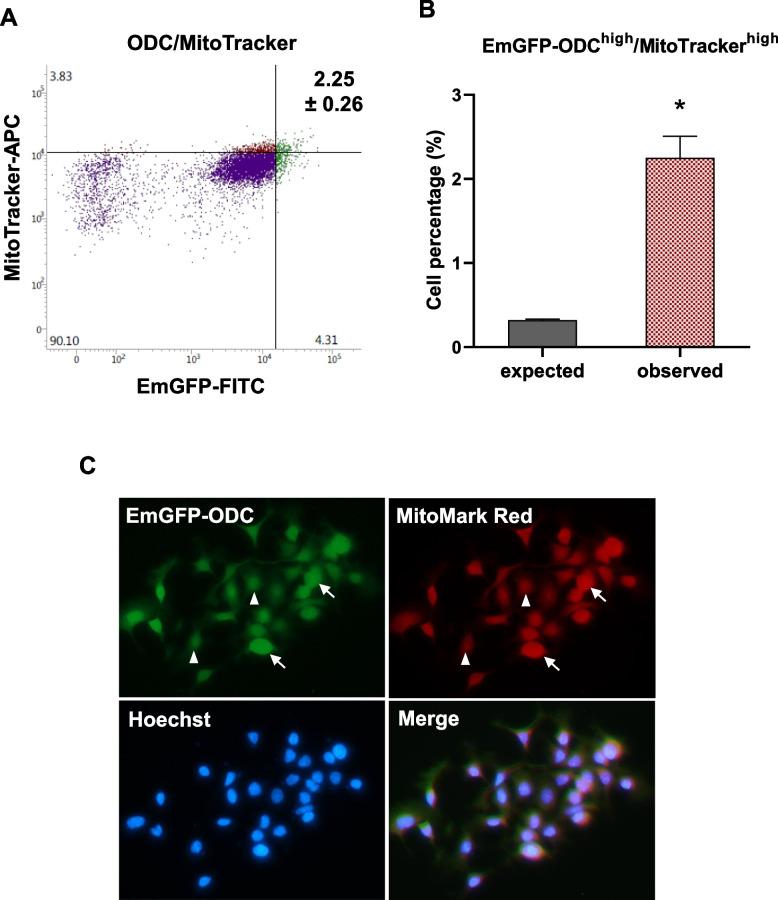 https://cdn.ncbi.nlm.nih.gov/pmc/blobs/4672/12210997/31607902e5e8/12885_2025_14460_Fig2_HTML.jpg