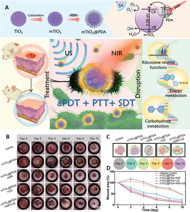 https://cdn.ncbi.nlm.nih.gov/pmc/blobs/4673/10640828/5912d0f7a90d/IJN-18-6425-g0006.jpg