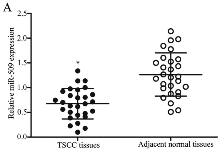 https://cdn.ncbi.nlm.nih.gov/pmc/blobs/4673/5865852/70ff9fe1a1e0/mmr-16-05-7245-g00.jpg