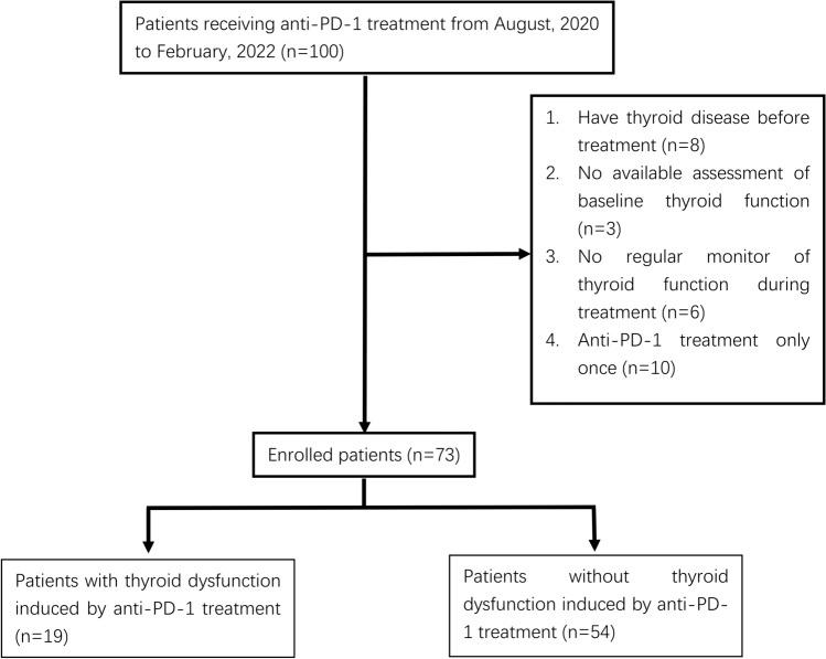 https://cdn.ncbi.nlm.nih.gov/pmc/blobs/4674/10645623/9ce2c979d4f3/432_2023_5364_Fig1_HTML.jpg