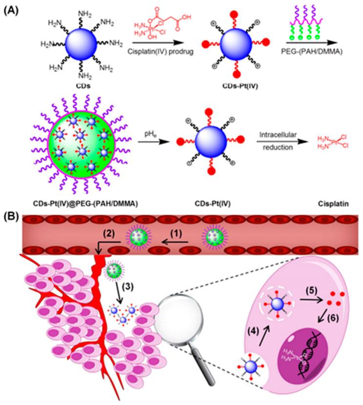 https://cdn.ncbi.nlm.nih.gov/pmc/blobs/4674/11207803/29a028eb95fc/pharmaceutics-16-00809-g008.jpg