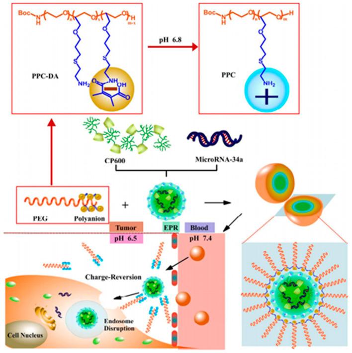 https://cdn.ncbi.nlm.nih.gov/pmc/blobs/4674/11207803/35561182c5fe/pharmaceutics-16-00809-g009.jpg