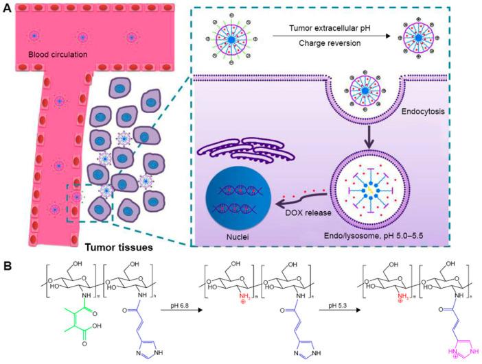 https://cdn.ncbi.nlm.nih.gov/pmc/blobs/4674/11207803/52b5286947e1/pharmaceutics-16-00809-g010.jpg