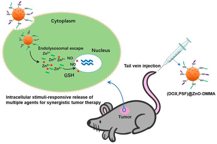 https://cdn.ncbi.nlm.nih.gov/pmc/blobs/4674/11207803/7cba20e39a3e/pharmaceutics-16-00809-g006.jpg