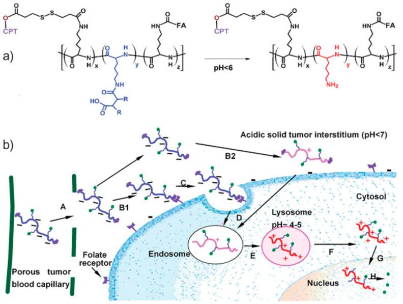 https://cdn.ncbi.nlm.nih.gov/pmc/blobs/4674/11207803/9e3f1bbc7a6a/pharmaceutics-16-00809-g002.jpg