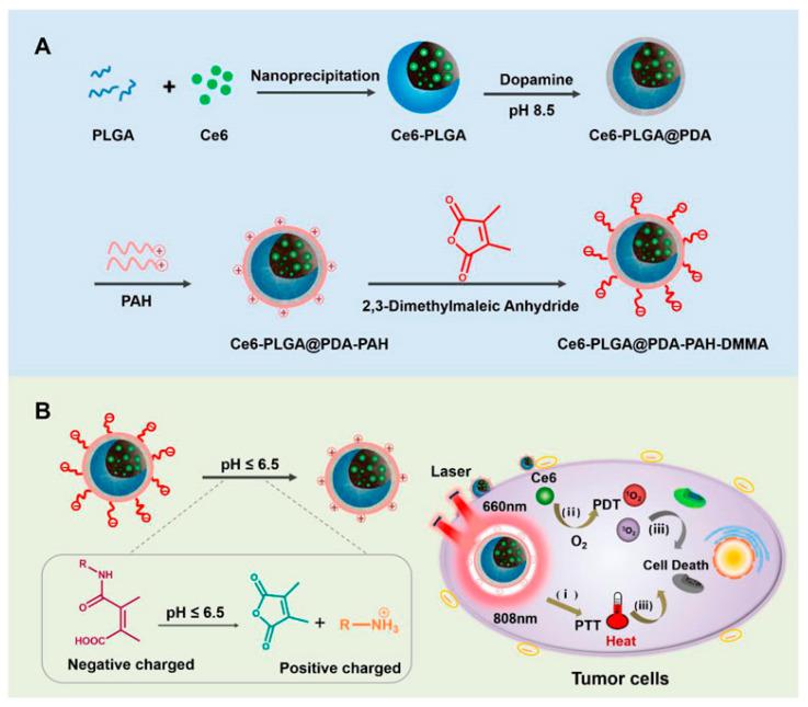 https://cdn.ncbi.nlm.nih.gov/pmc/blobs/4674/11207803/a72031f660b4/pharmaceutics-16-00809-g004.jpg
