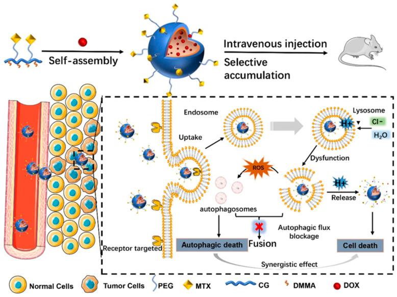 https://cdn.ncbi.nlm.nih.gov/pmc/blobs/4674/11207803/ae7b06ba85a6/pharmaceutics-16-00809-g005.jpg