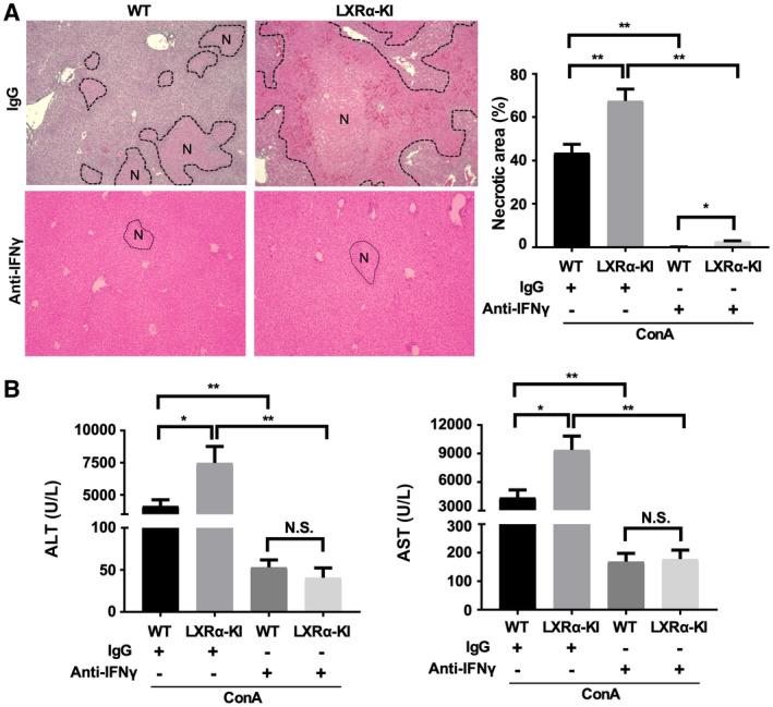 https://cdn.ncbi.nlm.nih.gov/pmc/blobs/4674/7603537/9c9be085fb25/HEP4-4-1664-g006.jpg