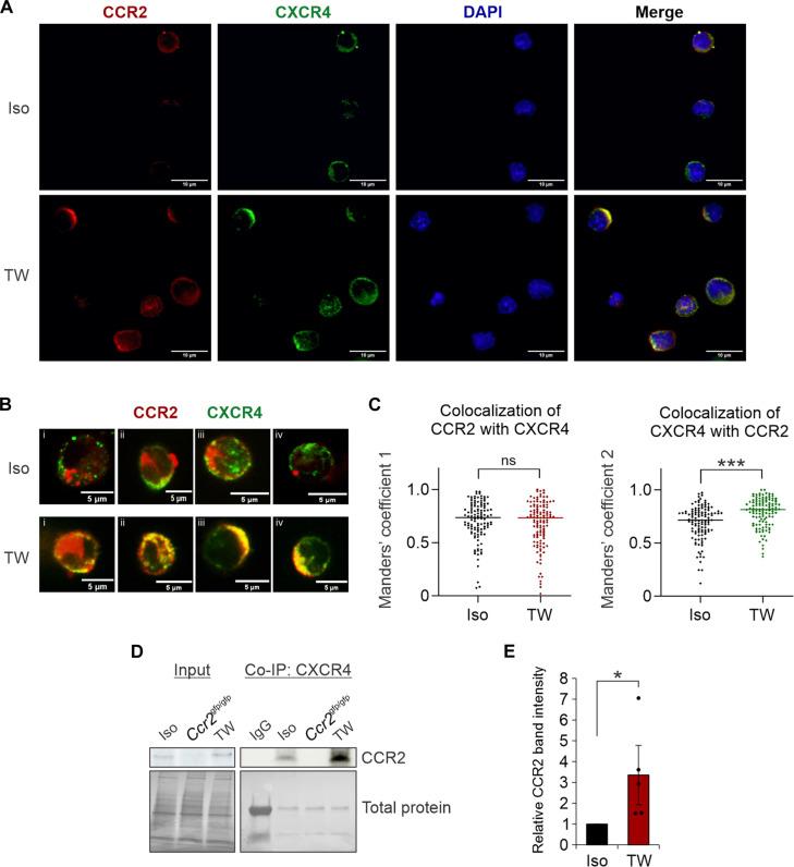 https://cdn.ncbi.nlm.nih.gov/pmc/blobs/4675/11409967/56a57037178e/sciadv.adq1476-f4.jpg