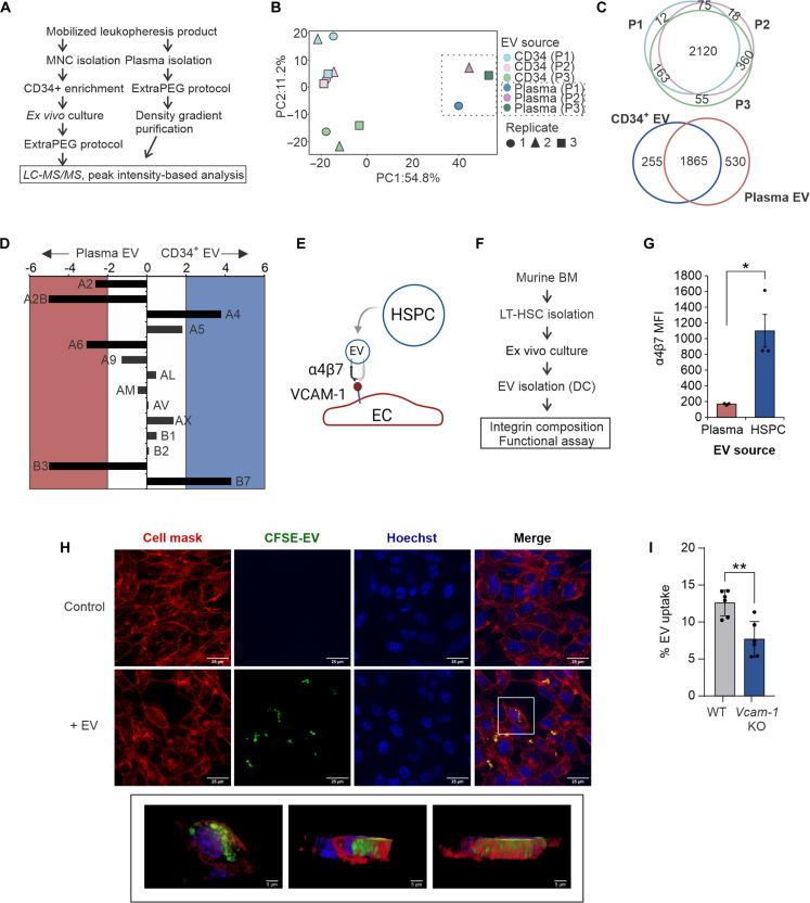 https://cdn.ncbi.nlm.nih.gov/pmc/blobs/4675/11409967/eb229a488ef4/sciadv.adq1476-f1.jpg