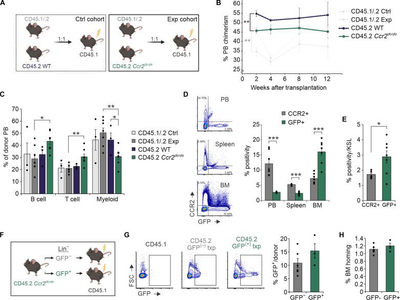 https://cdn.ncbi.nlm.nih.gov/pmc/blobs/4675/11409967/faf89c2bd52e/sciadv.adq1476-f6.jpg